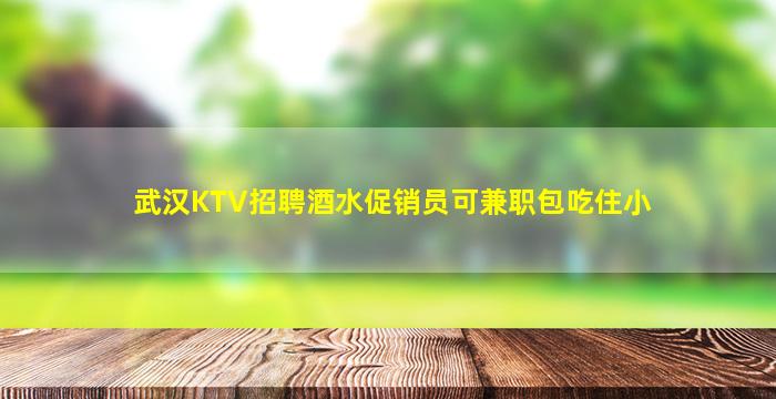 武汉KTV招聘酒水促销员可兼职包吃住小